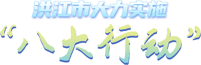 洪江市大力實施“八大行動”