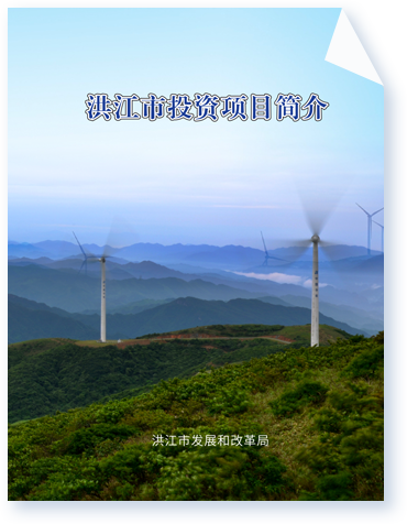 洪江市投資項目簡介
